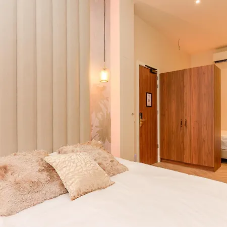 Novallure Margaretha - Short רייסווייק